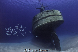 The EX USS Kittiwake with some Horse-eyed Jacks hanging a... by Chase Darnell 
